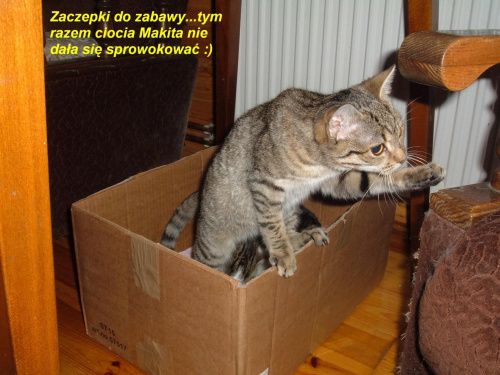 Obrazek