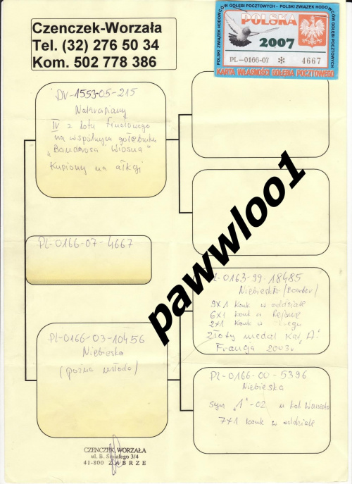 darmowy hosting obrazków