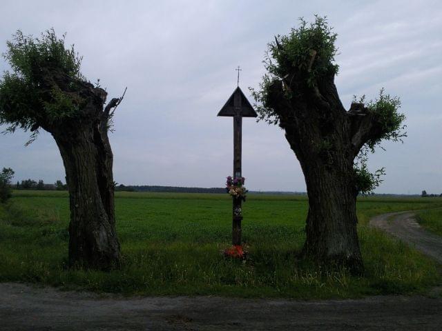 jpg