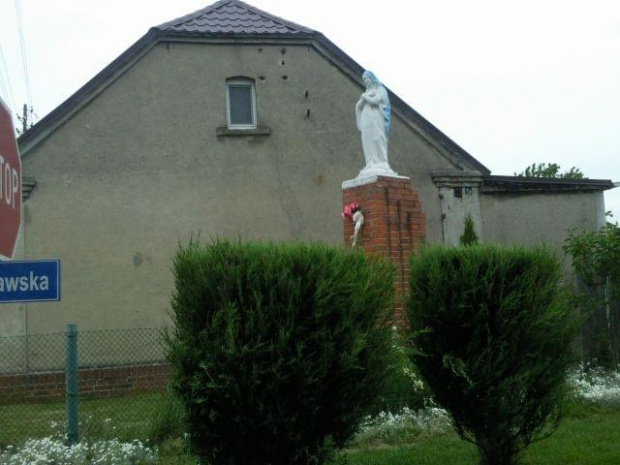 jpg