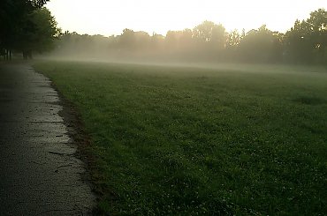 po deszczu #deszcz #mgła #natura