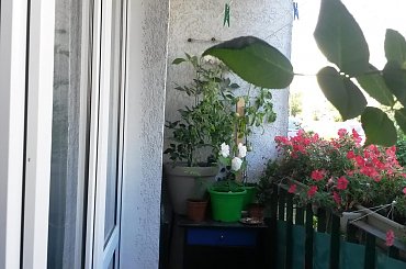 balkon #Koszalin #północ #PrzytulneMieszkanie