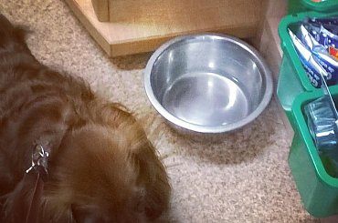 hobby fotografia #Chrzanów #Kraków #małopolska #Polska