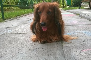 hobby fotografia #Chrzanów #Kraków #małopolska #Polska