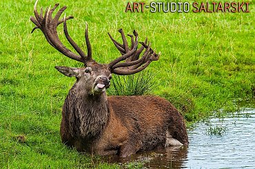 Profesionalne podejście ;) #MarekSaltarski #Naris