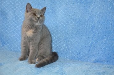 Tola Kocia Ostoja*PL #Portret