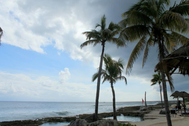 Listpad na Jukatanie #AmerykaŚrodkowa #eksyk #Jukatan