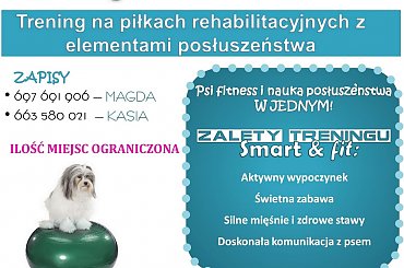 #pies #PiłkaGimnastyczna #PiłkaRehabiliacyjna #PsiSport #rehabilitacja #SzkoleniePsów #trening #zoofizjoterapia