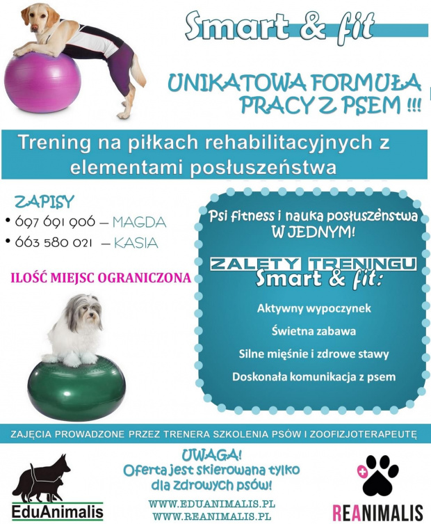 #pies #PiłkaGimnastyczna #PiłkaRehabiliacyjna #PsiSport #rehabilitacja #SzkoleniePsów #trening #zoofizjoterapia