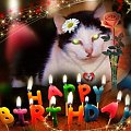 Urodzinowe buziaki kochana Helanko:) LOVE #Urodziny #koty #impreza #życzenia