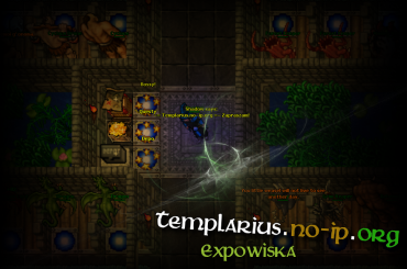 #Tibia