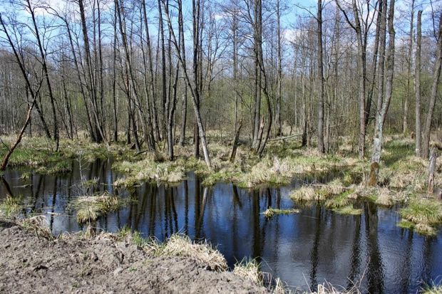 niedzielna przejażdzka rowerowa, pogoda dopisała :))