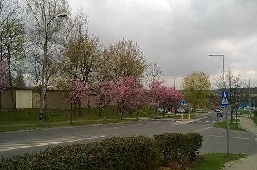 hobby fotografia #Chrzanów #Kraków #małopolska