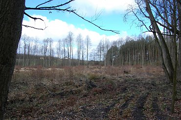 #las #jezioro #wiosna #Mazury #przyroda #krajobrazy