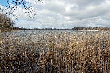 #las #jezioro #wiosna #Mazury #przyroda #krajobrazy