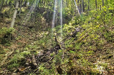 #BeskidŻywiecki #rower #góry